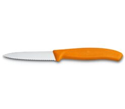 Victorinox SwissClassic