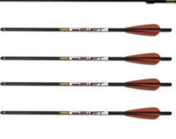 FX Arrow Gold Tip 5 Pack
