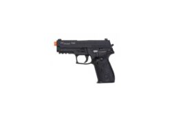 Sig Sauer