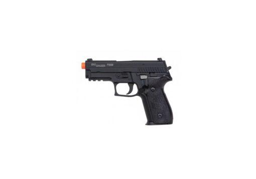 Sig Sauer