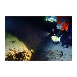 Fenix SD11 Diving Flashlight