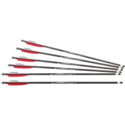 Umarex AirSaber